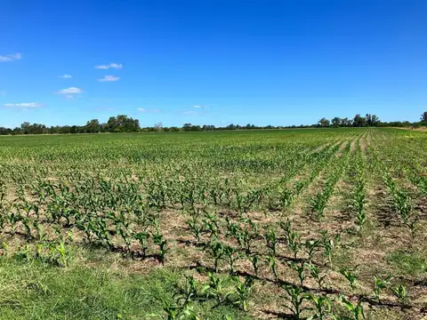 Campo en Navarro