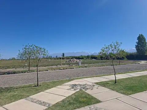 VENTA LOTE BARRIO PRIVADO GUALTALLARY TUPUNGATO