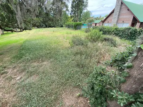 Terreno en Venta 20  mts Frente