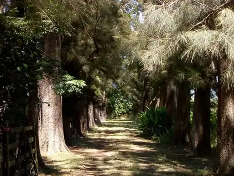 Autopista Luján/Junín Kilómetro 100, Piso 0