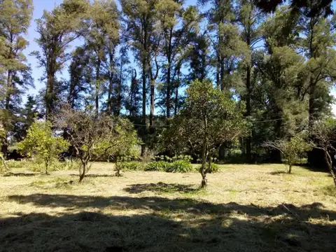 Chacra en venta con Casa a reciclar en Luján - ACEPTA FINANCIACION