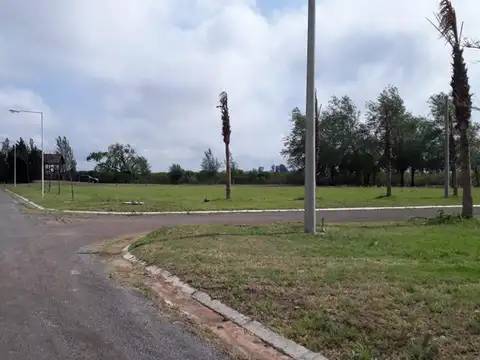 Terreno en Venta 61  mts Frente