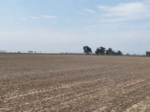 Se venden 14 ha agrícolas en Chovet - Santa Fe