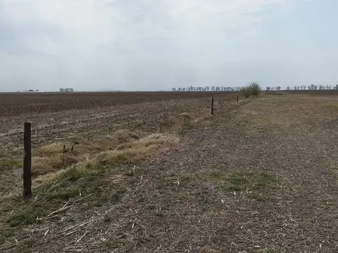 Se venden 14 ha agrícolas en Chovet - Santa Fe