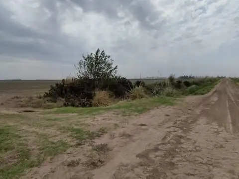 Se venden 14 ha agrícolas en Chovet - Santa Fe