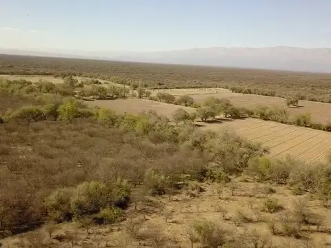 Campo en Venta Ganadero