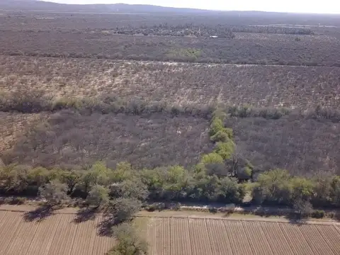 4 hectareas a la venta