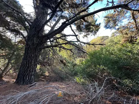 Terreno en Venta de 450,0 m2