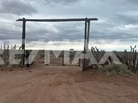 Playas Don Vicente 100