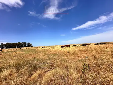 Campo ganadero y turístico de 1600has con costa de mar en venta