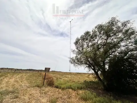 Campo ganadero y turístico de 1600has con costa de mar en venta