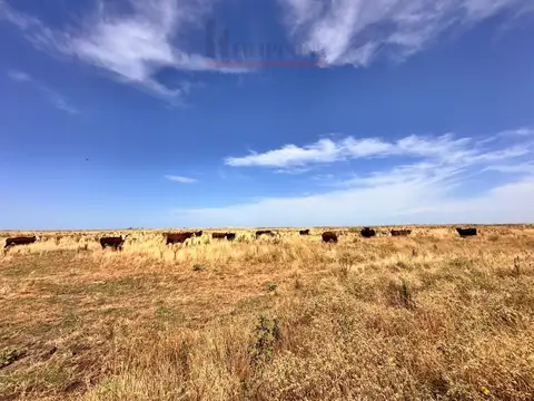 Campo ganadero y turístico de 1600has con costa de mar en venta
