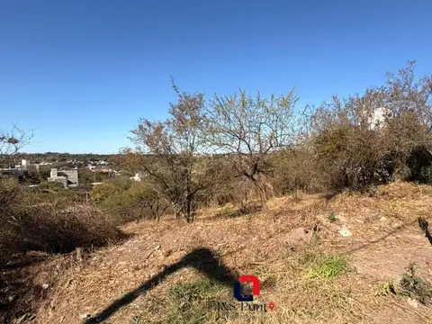 Cerro Incahuasi 1500