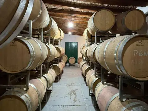 OPENHOUSE inmobiliaria presenta a la venta magnífica bodega en Chacras de Coria,Luján de Cuyo.