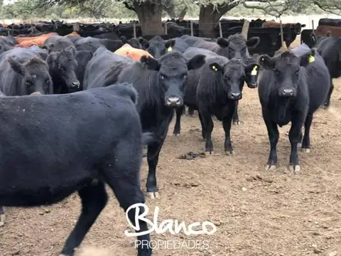 Casa en Venta en Gobernador Duval, USD 1.440.000