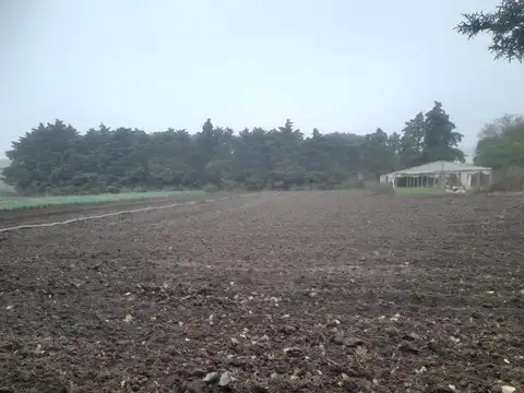 Venta Campo 6 Hectareas COLONIA CAROYA