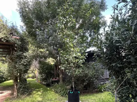 Casa en Alquiler en Funes, $ 1.000.000