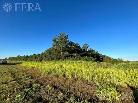 Venta de Campos en Santa Rosa - Concepción - Corrientes