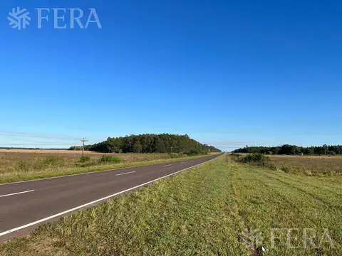 Venta de Campos en Santa Rosa - Concepción - Corrientes