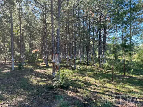 RUTA PROVINCIAL 6  - CAMPO CORRIENTES