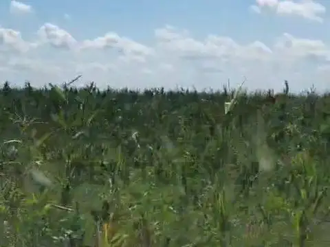 Campo en Venta de 0,05  ha