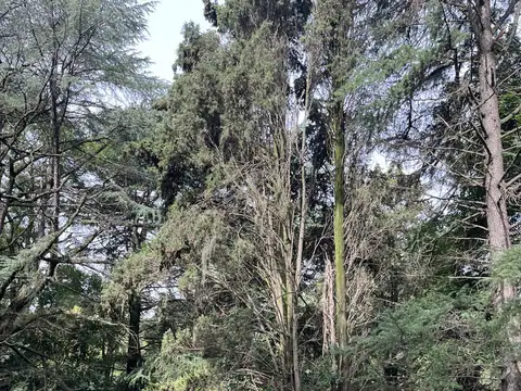 Terreno en Venta 25  mts Fondo