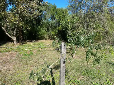 Terreno en Venta de 300,0 m2