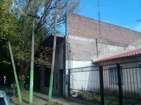 Poeta Risso 300