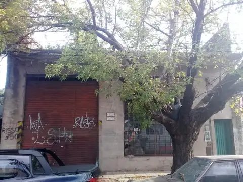 Poeta Risso 300