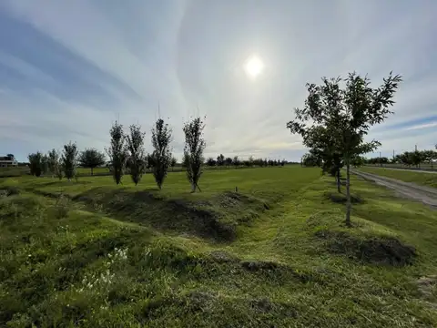 Ruta 2