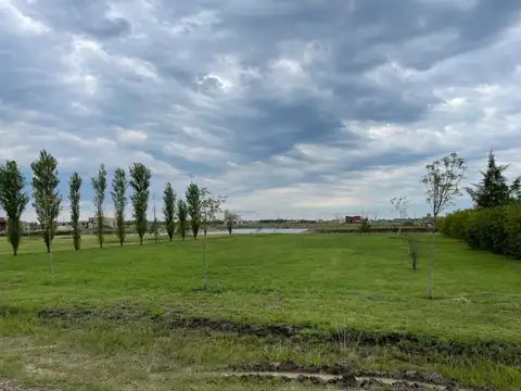 Terrenos y Lotes en Venta en La Plata [Cod: 7253-271]