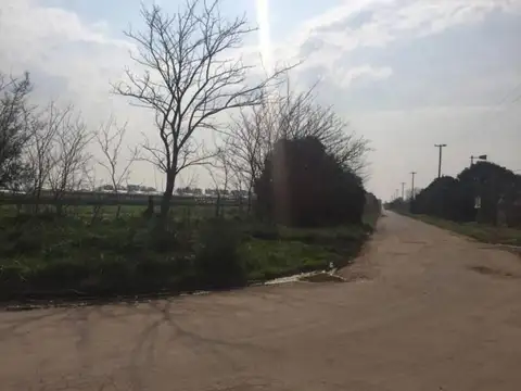 Campo en Venta de 49  ha