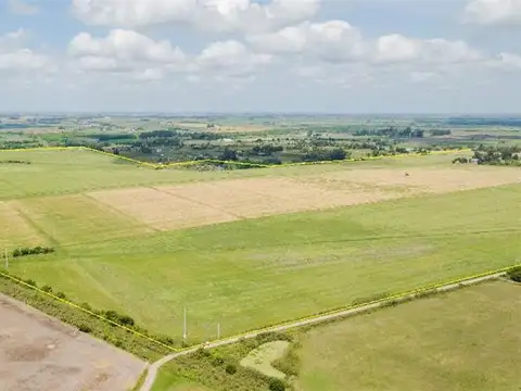 Campo en Venta Agricola