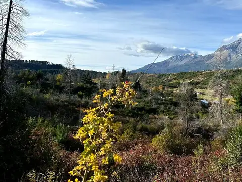 Cerro Radal 1 Hectárea con Vista al Piltriquitrón