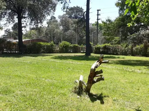 Terreno  207m2 12X17,25 CARUMBE