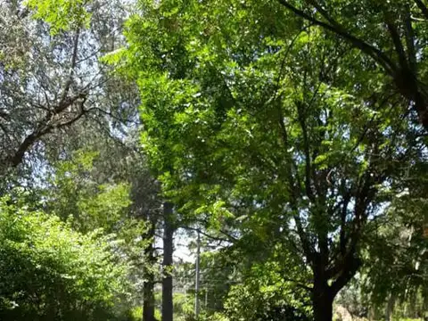 Terreno en Venta 17  mts Fondo