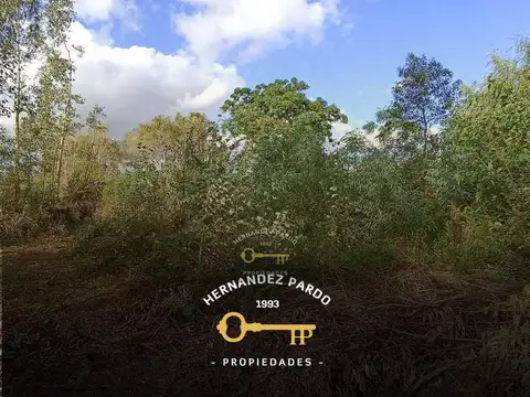 Terreno - Venta - Uruguay, Canelones