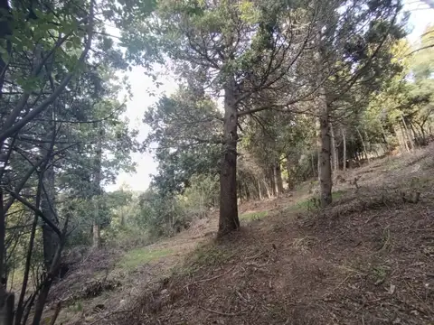 Terreno en Venta en San Carlos De Bariloche, USD 60.000