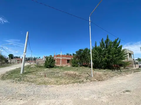Laprida 100