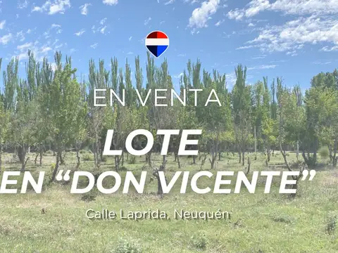 LOTE E19 EN VENTA EN NEUQUÉN DON VICENTE