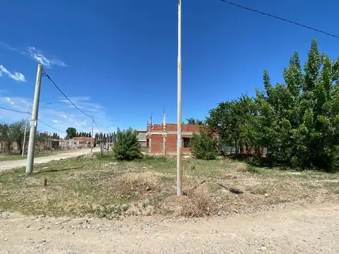Laprida 100