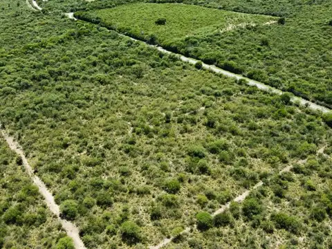 VENTA 7 TERRENOS ESCRITURA SOBRE RP14 SAN JAVIER