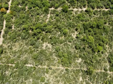 Terreno en Venta en La Poblacion, USD 185.000