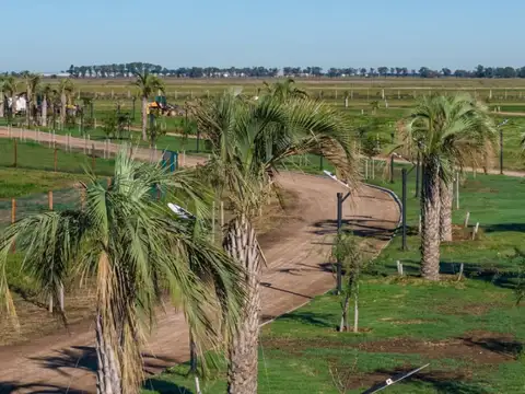 Terreno en Venta 15  mts Fondo