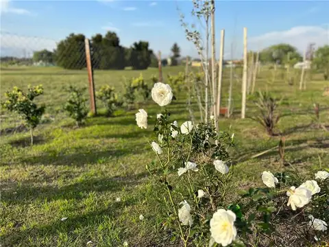 Casa en Venta en Medal Country club, USD 310.000