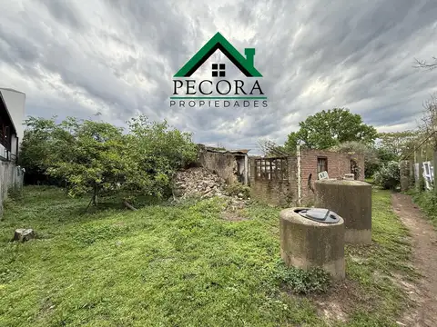 Terreno en Venta 31  mts Fondo