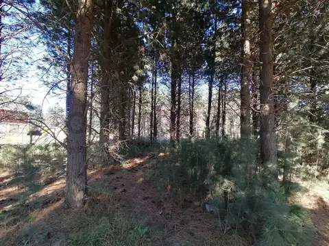 lago espejo , Piso 0