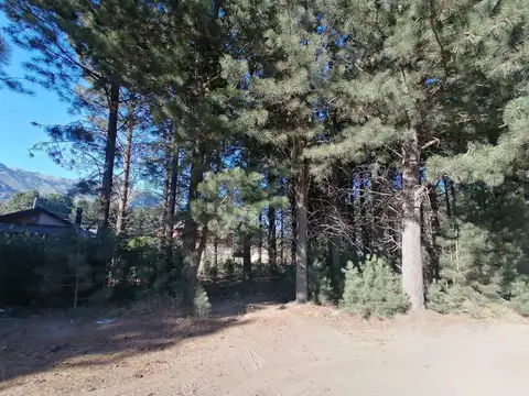 lago espejo , Piso 0