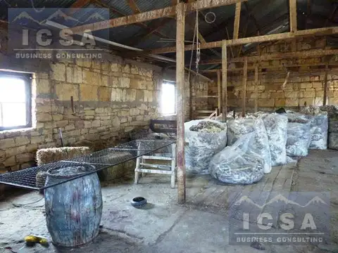 INMOBILIARIA COMODORO - CAMPO 5.000 has LISTO PARA PRODUCIR - AGUADAS NATURALES