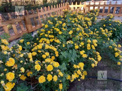 INMOBILIARIA COMODORO - CAMPO 5.000 has LISTO PARA PRODUCIR - AGUADAS NATURALES